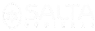 Salta Gobierno